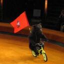 Mark Foley - @mdf67 - Twitter