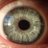 Fig_Max's profile image