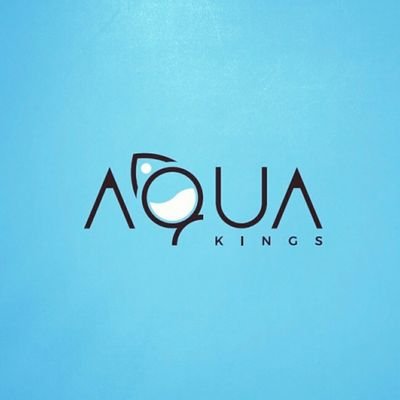 AquaKings Global Constructions