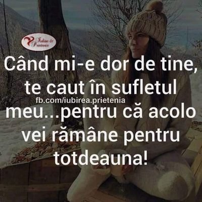 floribaciu's profile picture. 