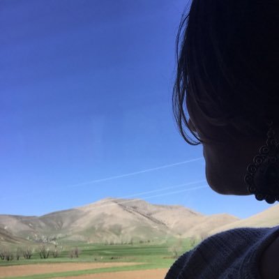 Lalesausiv's profile picture. Stilist/Modelist/Art Historian/MSGSÜ