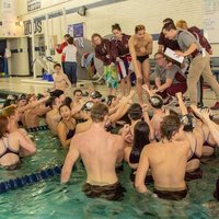 Stow Swim and Dive(@StowSwimDive) 's Twitter Profile Photo