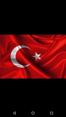 mesuts661's profile picture. sadece vatan