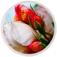 Loretta S (@goscenicview) 's Twitter Profile Photo Loretta S (@goscenicview) 's Twitter Profile Photo