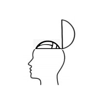 Apex VBC (@apex_volleyball) 's Twitter Profile Photo Apex VBC (@apex_volleyball) 's Twitter Profile Photo