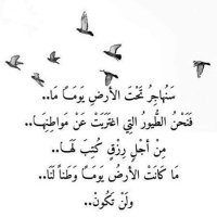 عادل المغارم (@ad_ahmed84) 's Twitter Profile