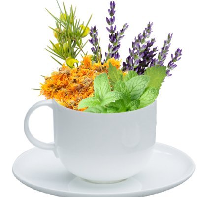 PlantologyC's profile picture. Plantology offers the finest in Omega-3 Seal Oil capsules from Newfoundland Canada, plus hand-made herbal teas!