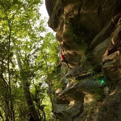 Steph Figary Profile