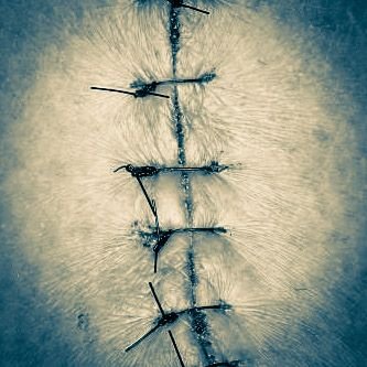 demediado's profile picture. Ahora, que he llegado al otoño de las ideas, debo emplear la pala y los rastrillos.