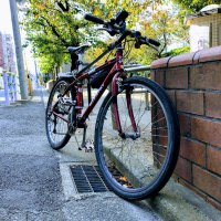 yukikonkon (@omoshiro1) 's Twitter Profile