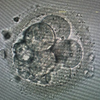 Physician-scientist and bioethicist supporting women with cancer and infertility.