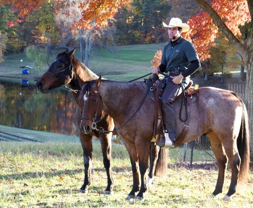 James_Cooler's profile picture. Horses