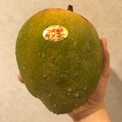 morimorymotchan's profile picture. 元準硬式野球部、相互作用トルクを活用したい、反物理違反