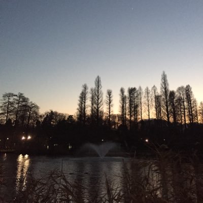 吉祥寺お薦めスポット 86wkfqoneddta5e Twitter
