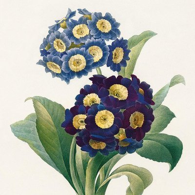 PierreLaFluer's profile picture. Just another flower in the field