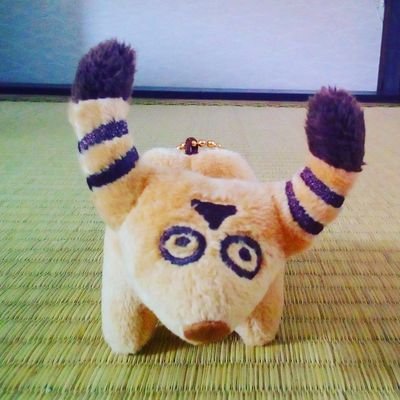 薄力小麦子 / ザ・リモコン / カリノ /イノノミノ子 で演奏しています。
雑草研 (Zassoken) is a music collective based in Fukuoka, Japan.