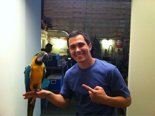 ♥ We tweet about our love for Carlos Pena!! Follow us if you'd like :)♥ Owners: @DeepThoughtsJD @CassieLovesBTR @BTRonEllen @Sam_Loves_BTR and @BTRchick4027!
