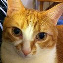 Amy Tully Eriksson - @tullyamy - Twitter