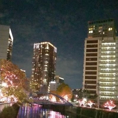 Buyer 目黒川が臭い 上流域でゲリラ豪雨でもあった Buyer 目黒川が臭い 上流域でゲリラ豪雨でもあった