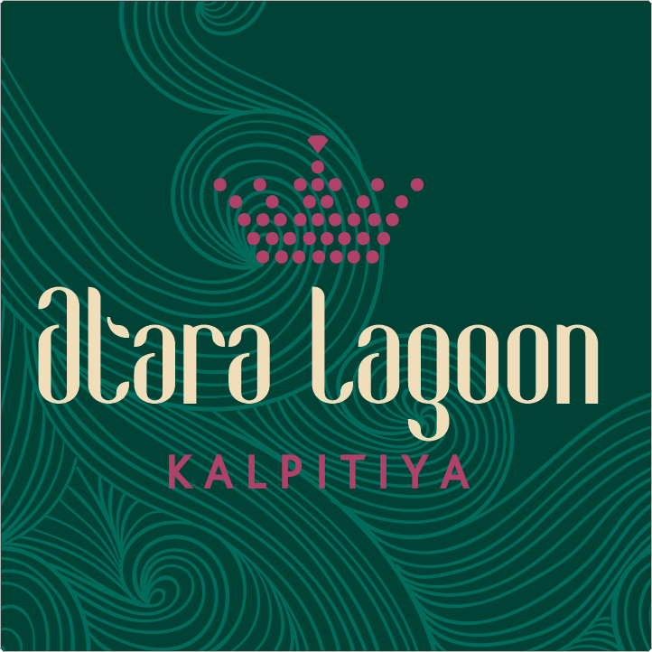 Discover our resort, our value, rooms, swimming pool, our menu and specialty supply by local , activity run by local, we are part of this community.