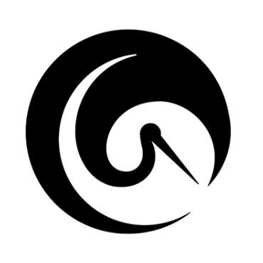 sandrolaliashvi's profile picture. 