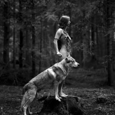 DaShengsun668's profile picture. 