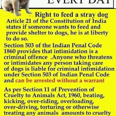 DeborahThakker's profile picture. genuine