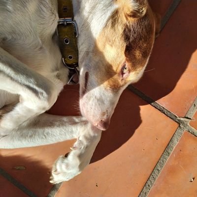 Rmg99's profile picture. 