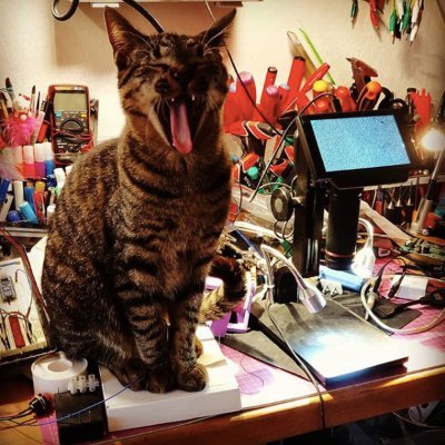 hardwarecatz's profile picture. 1̵1̵ 12 paws of happiness and destruction of electronics. Jaina - domestic puma., Kazia - tortie-youngster, Trotec - clumsy photo model