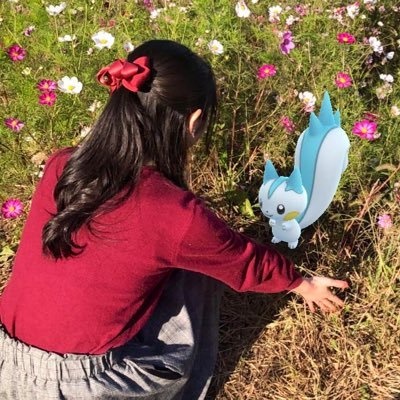 ポケGOアカウント٩( ¨̮ )۶ ARやぬいぐるみの写真を載せていきます!相棒のパチリスと都内で活動中♥️よろしくお願いします🥰