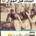 أسير الصمت (@n3jql7zxh7houiy) Twitter profile photo أسير الصمت (@n3jql7zxh7houiy) Twitter profile photo