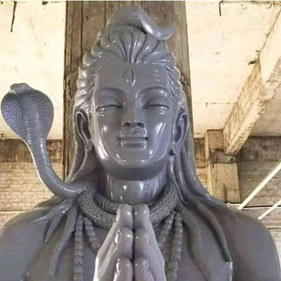 இந்தியன் ,தமிழன் , சத்திரியன், zoologist , Businessman ,
