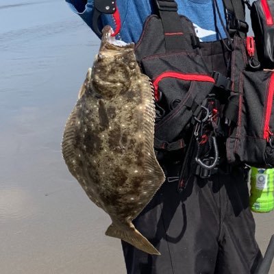 サーフゲーム 釣り 鹿島灘 キャンプ 画像の写真は友達が釣り上げたものです。2020/11/03 1st ヒラメget！土浦在住 鹿島灘アングラーのみなさま、気軽にフォローしてくれると嬉しいです😊