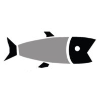 Shooting Fish Theatre(@Shooting_fish) 's Twitter Profile Photo