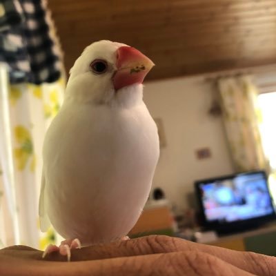 ぽさんのプロフィール画像