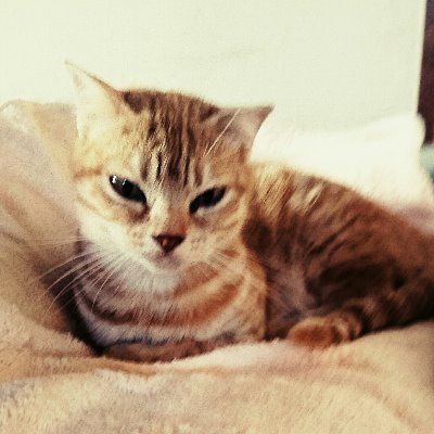 〇〇は××に似ている話。反ルッキズム、音楽、仕事、株、関連。たまに真実追求系。
時間は存在しない。お仕事のご依頼はDMにて。あ、〆切は守ります。
https://t.co/ogt4GXhcCh