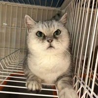 tianchun8977403 (@tianchun8977403) 's Twitter Profile