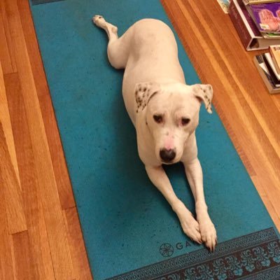YOGA BY DEAF INSTRUCTOR FOR THE
ASL COMMUNITY OF NEW ENGLAND
