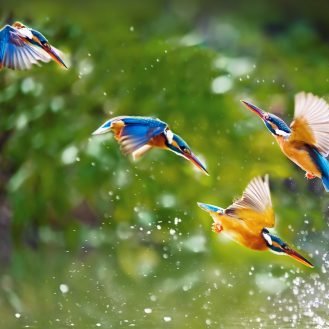 Paularoses's profile picture. 