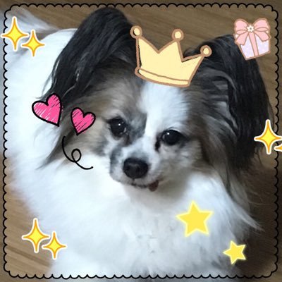 ramurun's profile picture. 福岡ランチ食べ歩き。ラーメンやわ麺派。グロム乗り。お酒・コーヒーは✖︎。Ｒ7宅建合格🌸 AVMと過労による脳出血、左半身麻痺を経験。小型二輪免許。慢性疼痛。単独行動派。