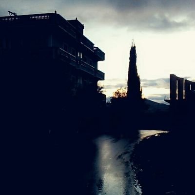 Intissam2's profile picture. 👑📷📚✒🇩🇿