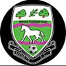 MinetyFC's profile picture. 2 Teams 1 Club #UTG 🪿- Stroud & District 2/5S

✨Div 3 league runners up✨

Promoted to Div 2 25/26 season