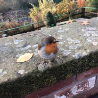 mrs j (@sharpmicroqueen) 's Twitter Profile Photo mrs j (@sharpmicroqueen) 's Twitter Profile Photo