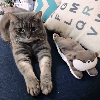 Purui01's profile picture. 投資家&事業家。世の中を明るくする事業✨をやっていきたいです。是非、一緒にコラボしましょう⭐️