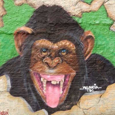 KPodernegro's profile picture. 