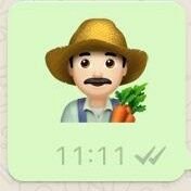 Bottesting16's profile picture. Tu mama va a hacer bots.