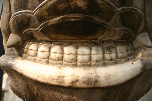 elvanyar's profile picture. 