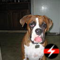 charles ryals (@chuckohio) 's Twitter Profile Photo charles ryals (@chuckohio) 's Twitter Profile Photo