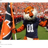 Travis Alford (@alford_trav) 's Twitter Profile Photo