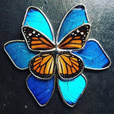 Handmade Real Butterfly Wing Jewelry.